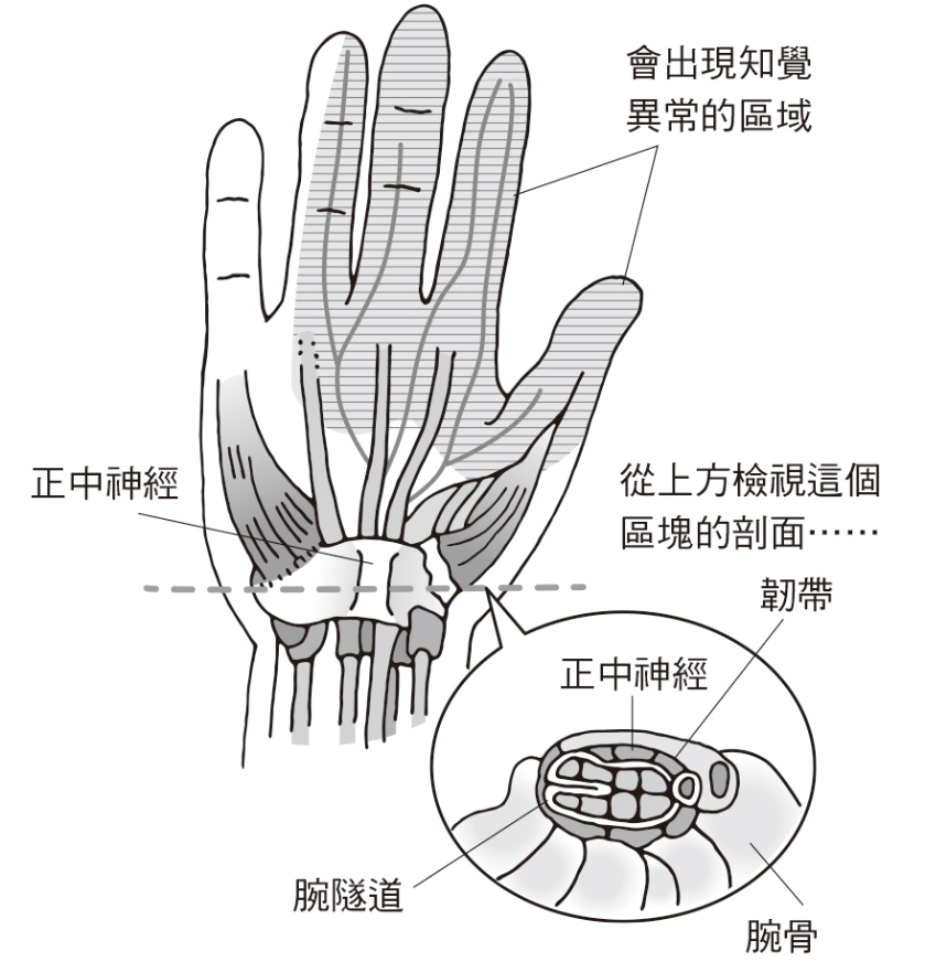 （圖片來源：《一本終結！關節痛養護大全》）
