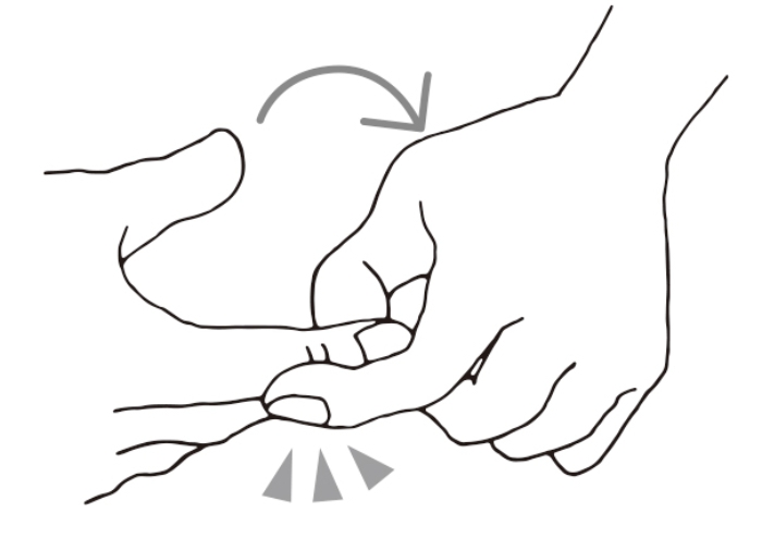 （圖片來源：《一本終結！關節痛養護大全》）