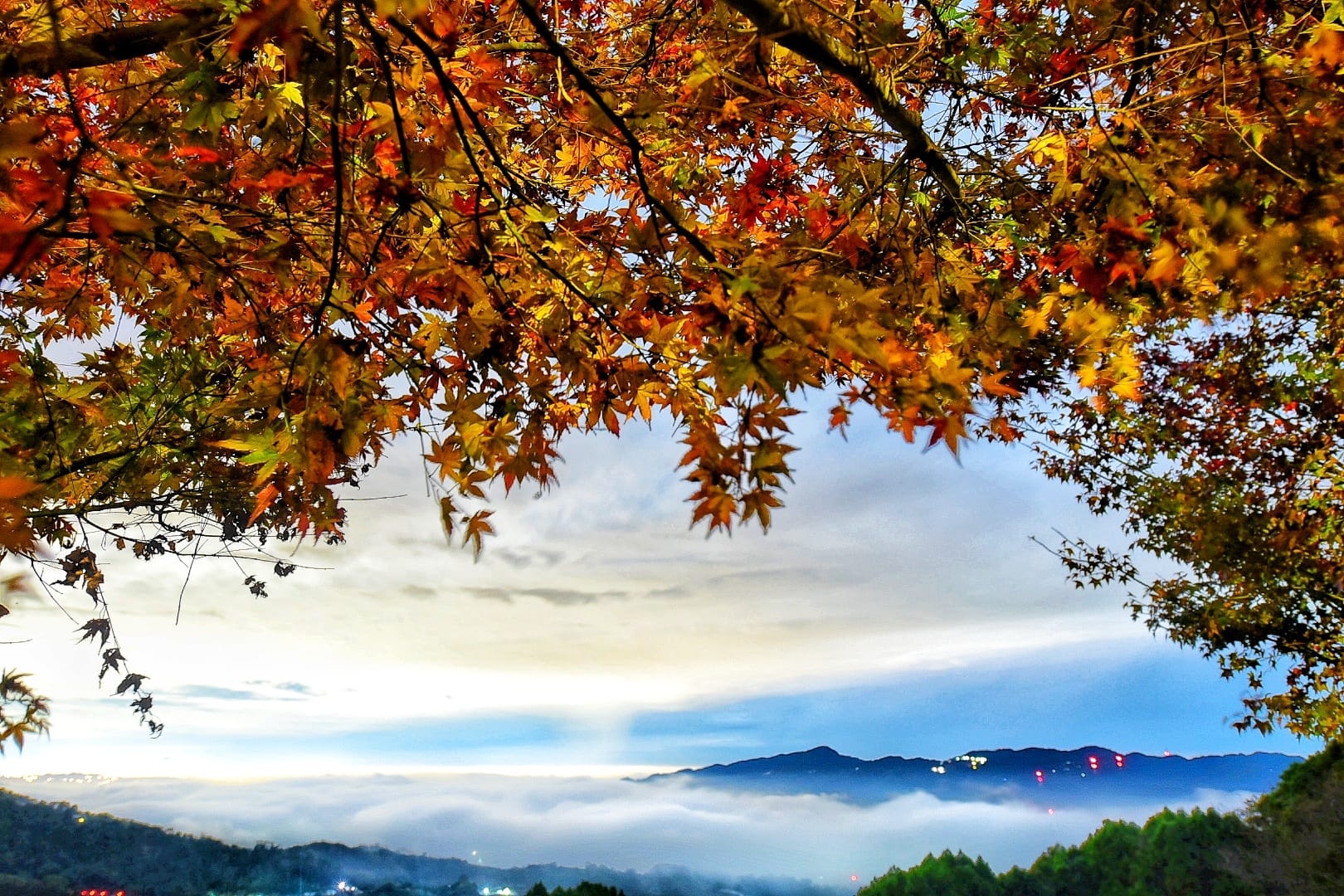 苗栗馬拉邦山除了有雲海絕景，更是知名的賞楓勝地。（出自馬那邦休閒農業區FB專頁） 