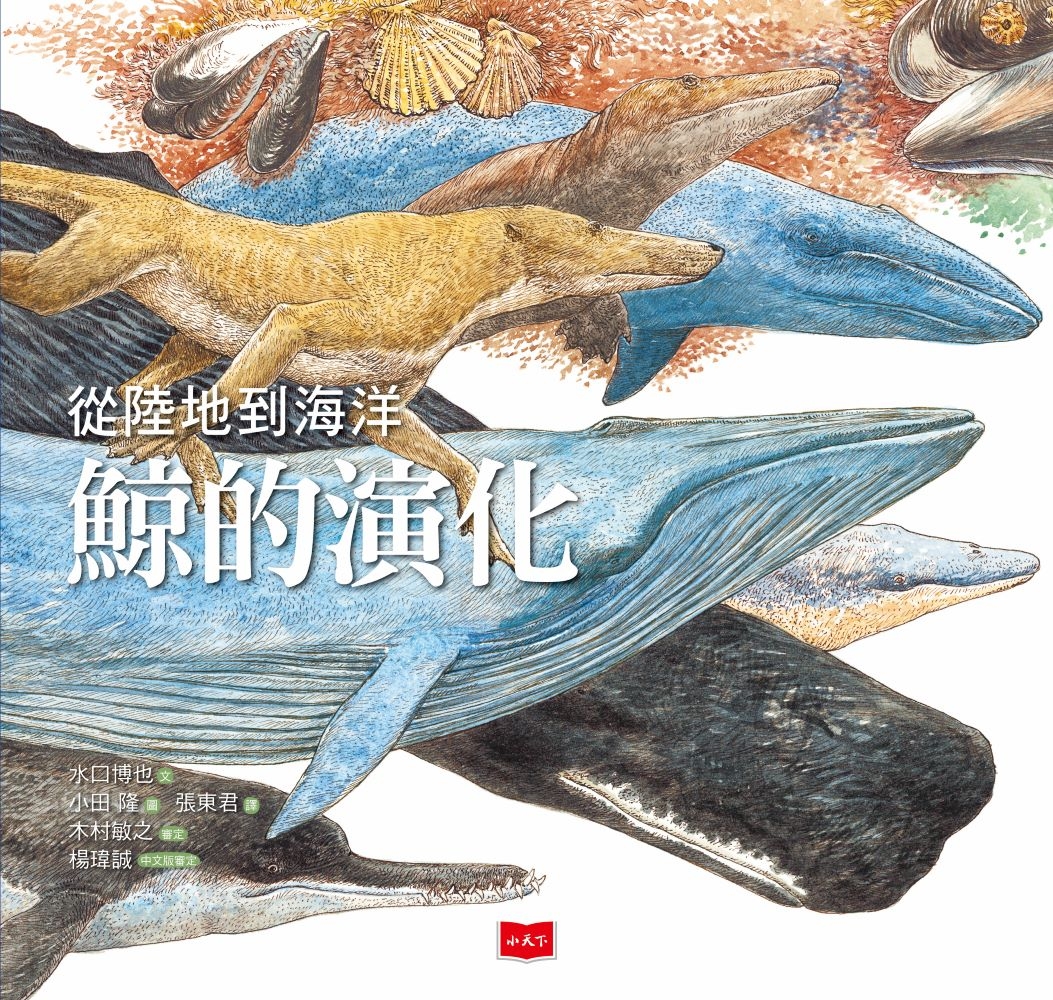 內文圖檔