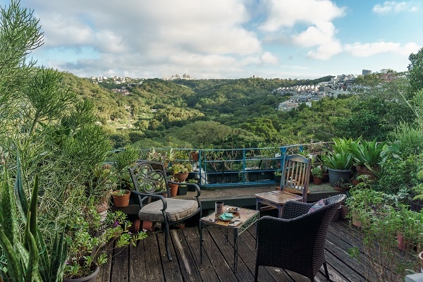 走出客廳站在大陽台上，放眼望去進是綠意。