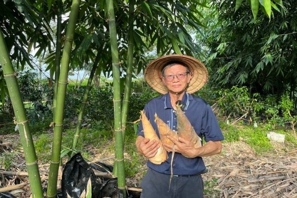 採筍了，收成之樂樂無窮。