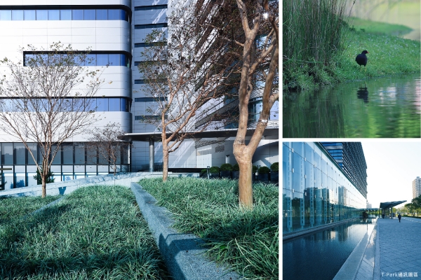 板橋T-Park通訊園區吸引科技、金融、醫師等高知識份子，也風靡在地仕紳換屋移居。