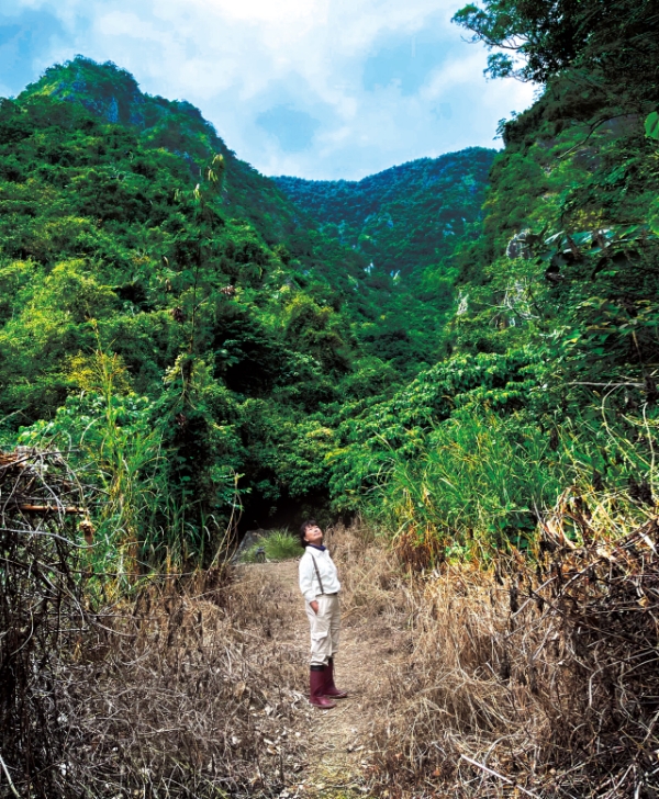 龍應台在都蘭裝備必定是長雨靴，走踏山林，體驗「不以人為中心」的生活。 （時報出版提供）