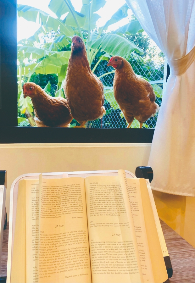 龍應台最愛的「雞民族」們，會陪她一起看書。（時報出版提供）