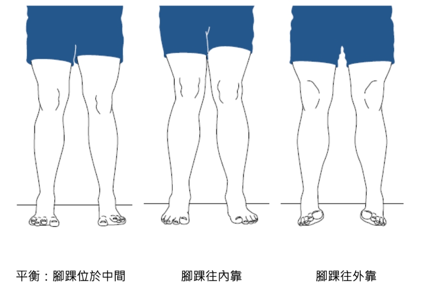 日走8千步比每週運動3次，一年多燃燒10萬大卡！4種變化走路法，潤滑膝關節、強化肌力效果更佳_img_1