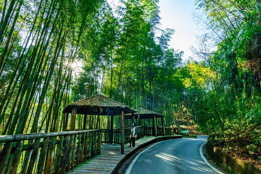 活用當地景觀結合森林療癒的草嶺石壁，是受到許多旅客歡迎的景點。（出自交通部觀光署） 