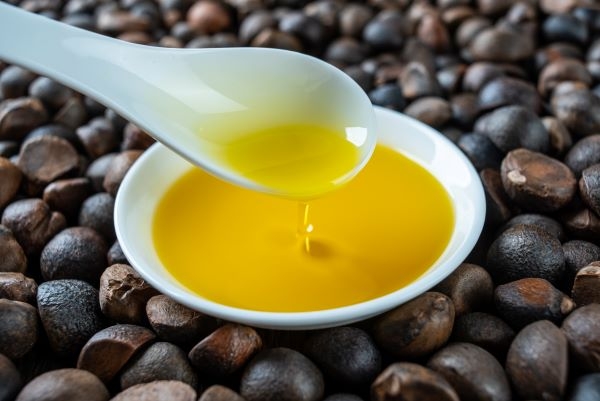 苦茶油以油茶樹的種子（民間習慣稱為油茶樹籽或苦茶籽）壓榨而成，取得Omega-9豐富的金黃色好油。