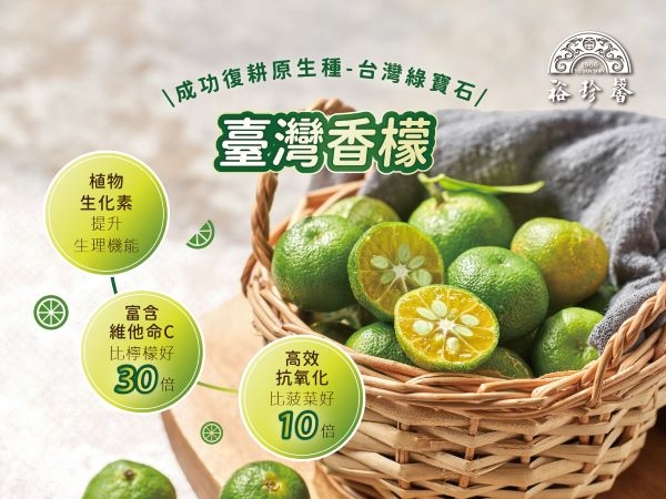 成功復耕的臺灣香檬,營養價值高。