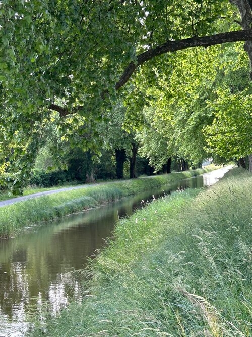 馮美莉租車自駕遊途中，無意間瞥見的運河美景。