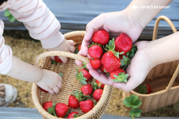 台灣好農在地食材大湖草莓。圖片來源：空服員的手作甜點