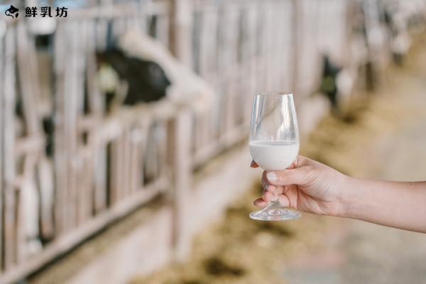 空服員的手作甜點採用鮮乳坊的嘉明鮮乳，不僅安心更支持在地農業。