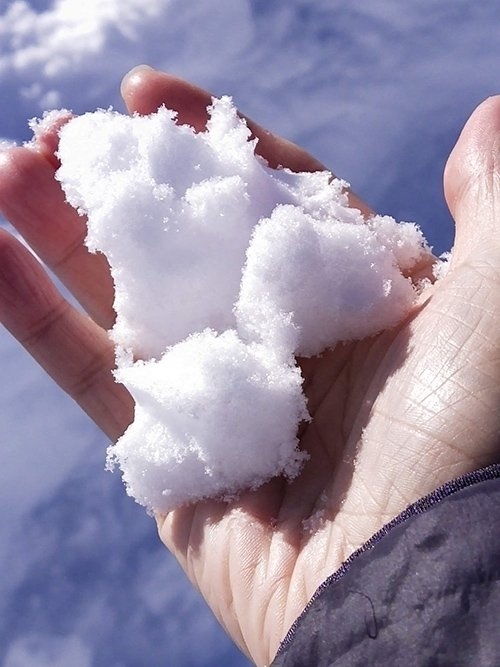 從名古屋往合掌村路上，在休息站停靠時，傑叔抓了一把雪在手掌上。一人旅行，隨興開心最重要。（傑叔提供）