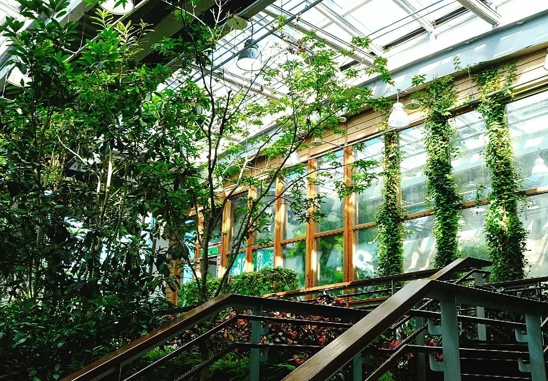 典藏豐富的台北典藏植物園，在認識植物之餘也有優美造景。（出自IG@taipeitravel） 