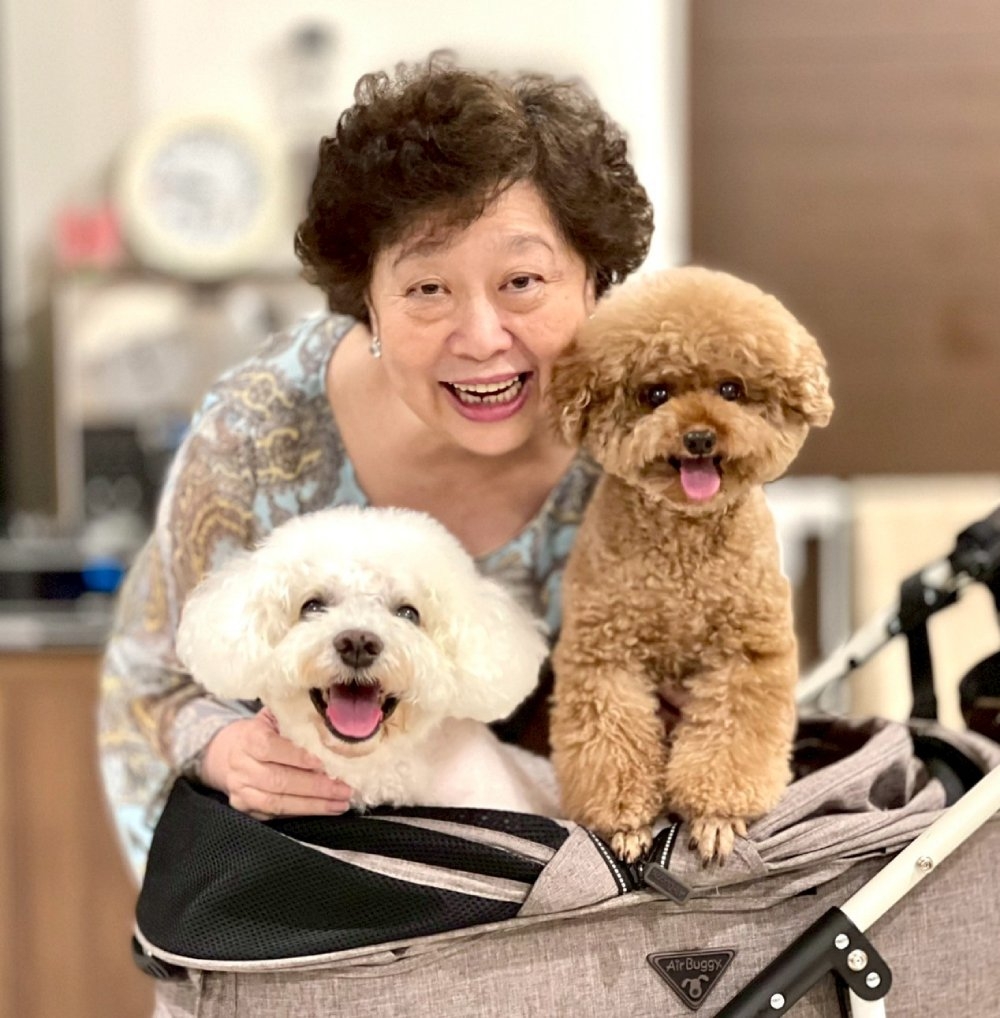 廖清輝在家中幫太太詹晶玲和兩隻愛犬留下的珍貴紀錄！當時，白色比熊犬已重病，仍留下這張很有愛的照片。