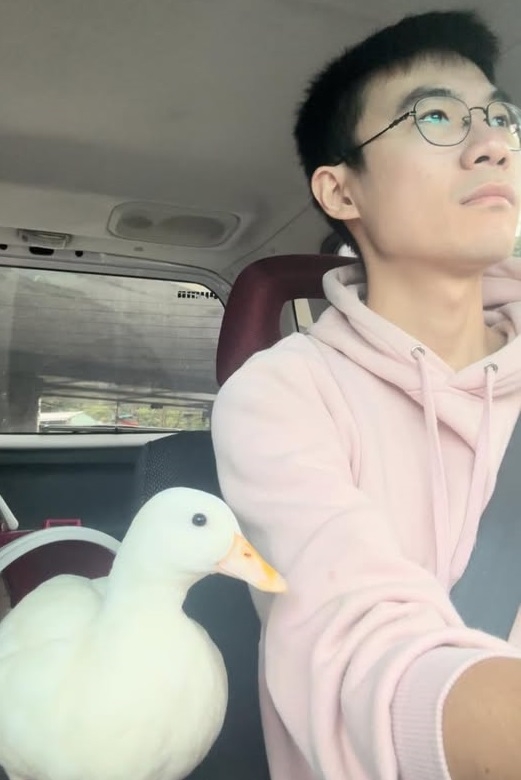 Dauding共乘社團內，一位徵求乘客的社團成員表示車上有鴨，可愛模樣吸引1.6萬個讚。