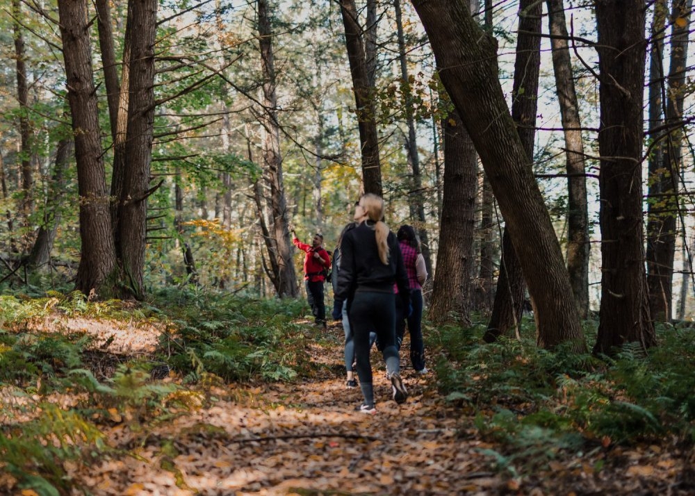 豐富多樣的活動體驗安排，也是拉近家人距離的好方法。（出自Miraval Berkshires官網）