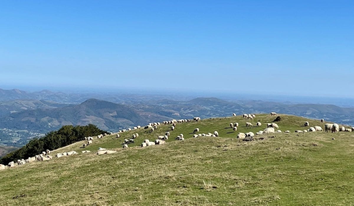 朝聖之旅體會:成功,不是能力有多好;而是在最糟情況下,你的選擇