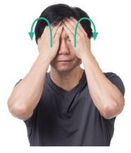 （圖片來源：圓神出版）