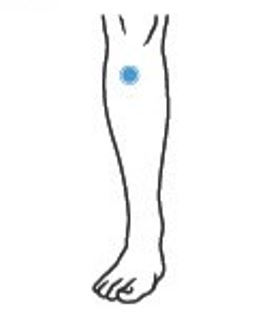 （圖片來源：圓神出版）