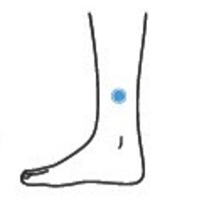 （圖片來源：圓神出版）