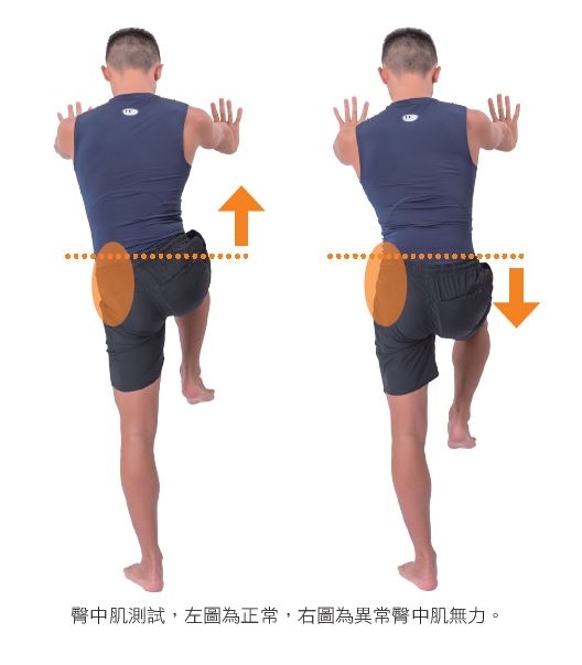 （圖片來源：《崴爺的超脊筋膜治痛全書》）