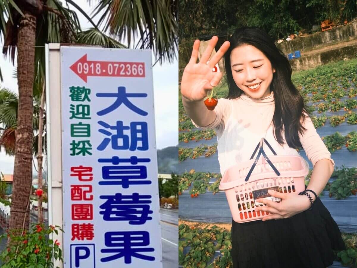 全台7家草莓園｜苗栗 大湖草莓果園