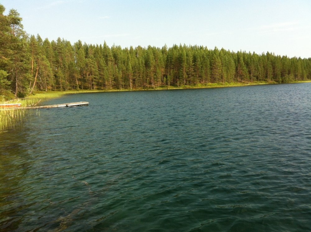 芬蘭自然湖泊的風光，彭雅美因為拋下「內衣褲顏色不一樣」的面子，跳水到其中才得以享受。（圖片來源：彭雅美）