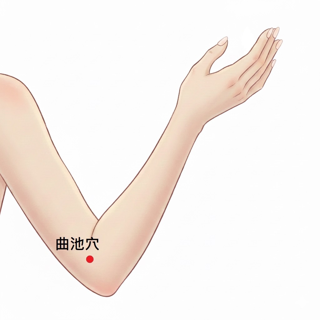 曲池穴位於手肘外側彎曲時橫紋的末端。（圖片來源：AI生成及後製）