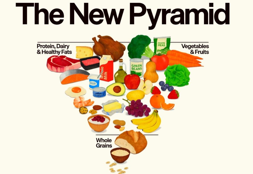 美國最新飲食指南以倒金字塔形式呈現。（圖片來源：realfood.gov）
