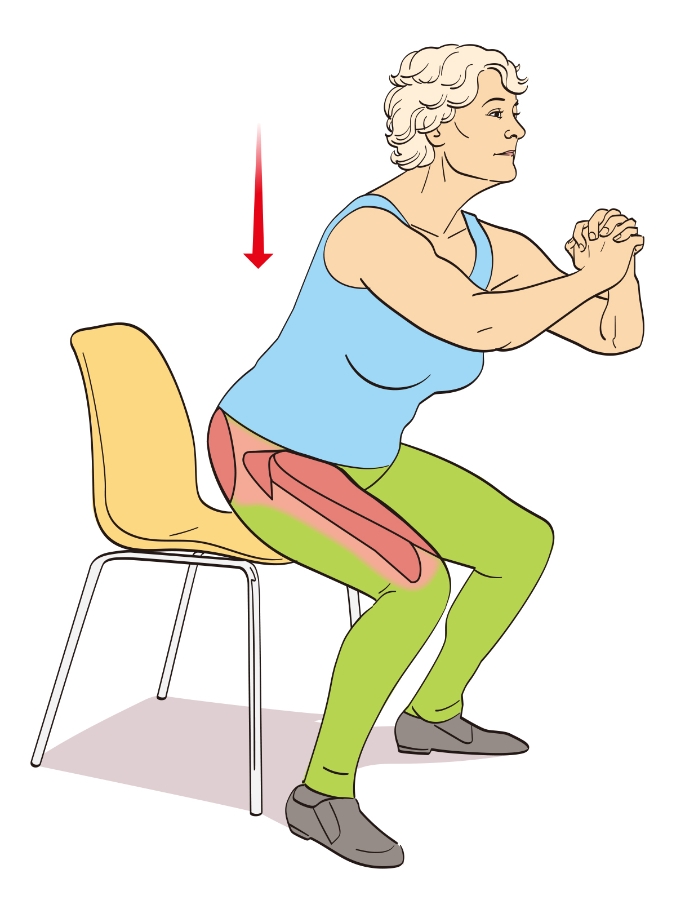 （圖片來源：《超核心椅子肌力運動》）