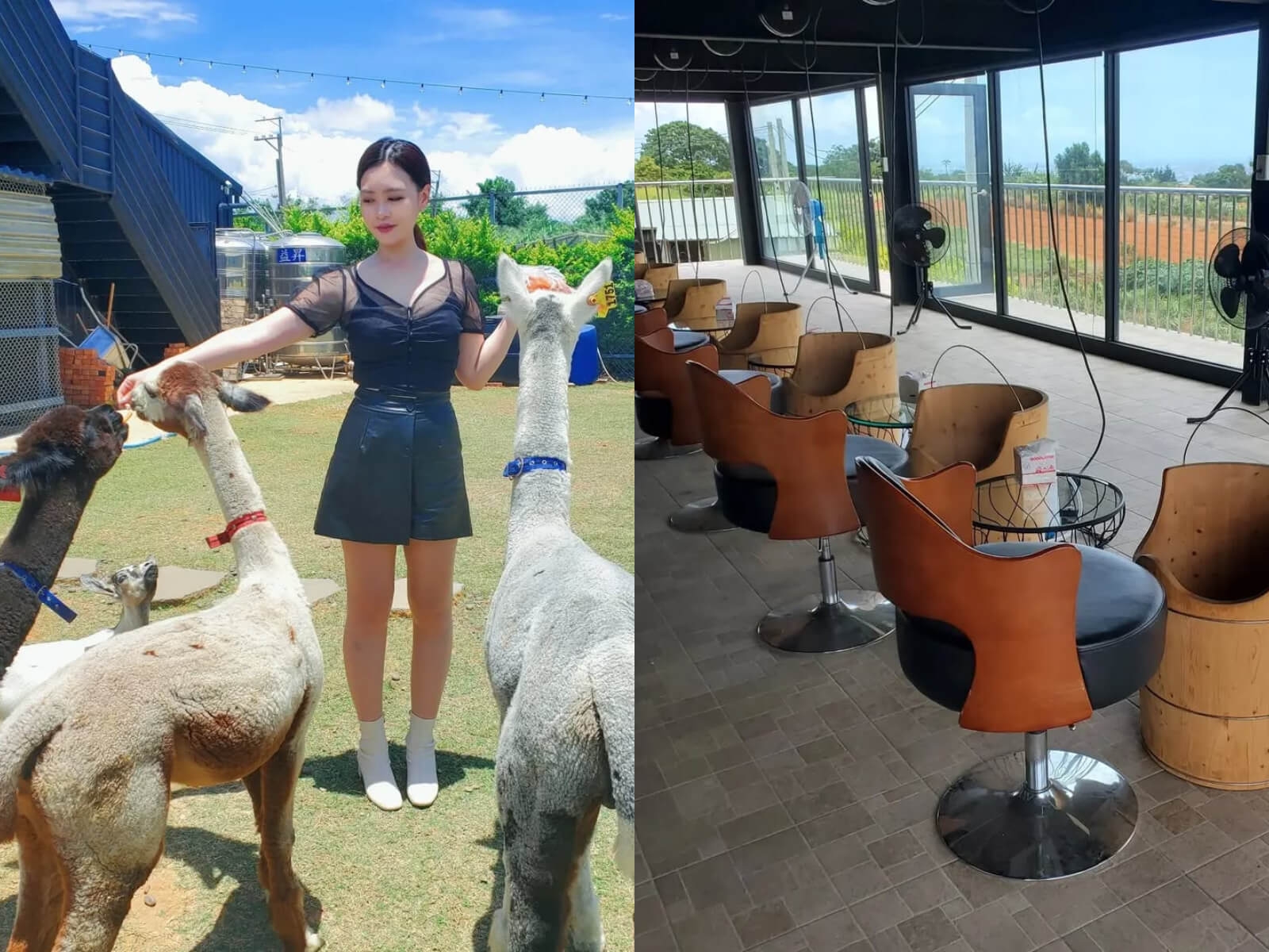 晴園秘境 台中親子農場