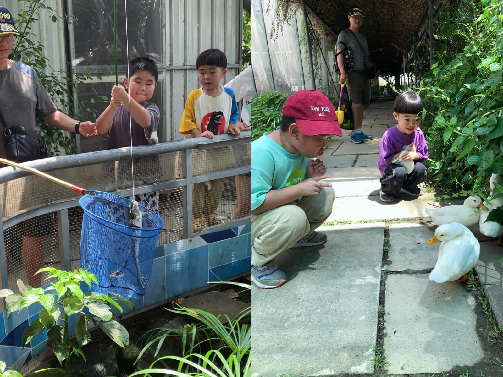 赤腳丫生態農莊 台中親子農場