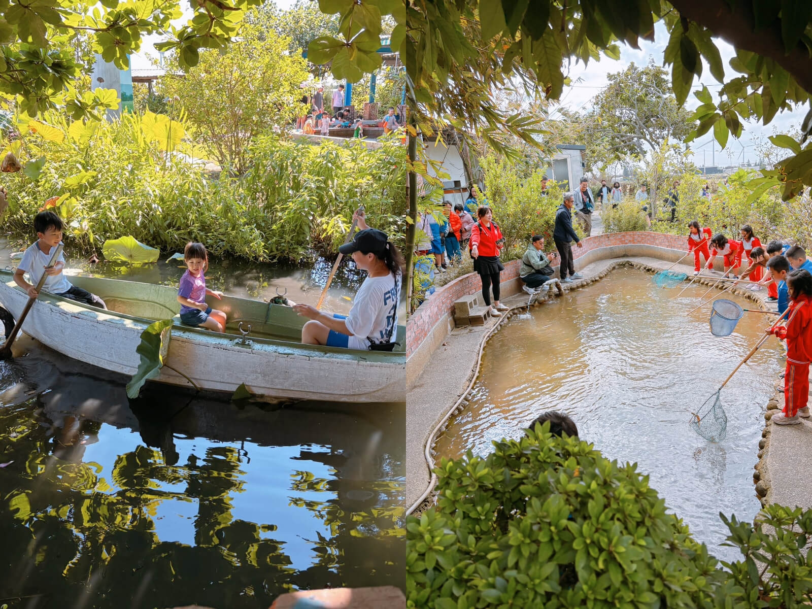 美景農場 台中親子農場