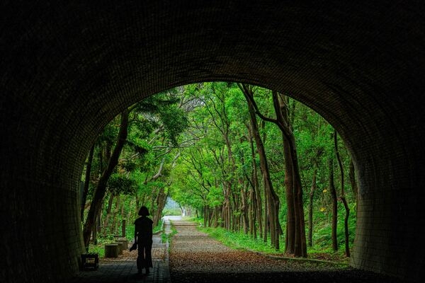 崎頂1號隧道長達130.78公尺，步道2側林蔭成群。（圖片來源：葉琳喬攝） 