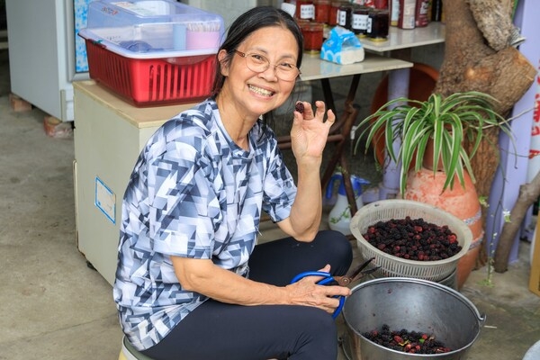 阿麗看著鏡頭露出招牌笑容。她正逐顆剪去桑葚的蒂頭，她說這樣口感才細緻。（圖片來源：葉琳喬攝） 