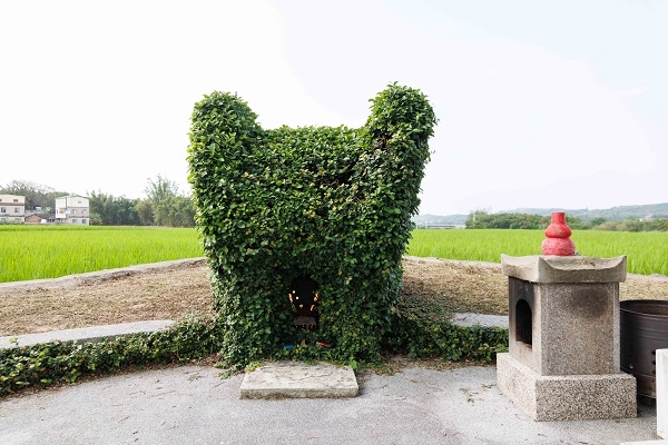 被綠葉覆蓋、修剪成龍貓造型的田心伯公。（圖片來源：葉琳喬攝）
