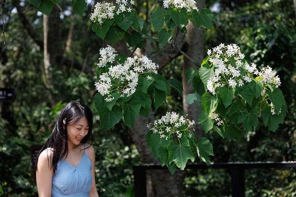 低頭微笑，有時比看鏡頭更吸引人。（圖片來源：葉琳喬攝）