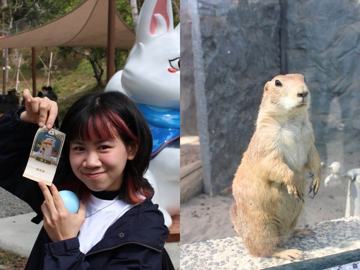 野森動物學校