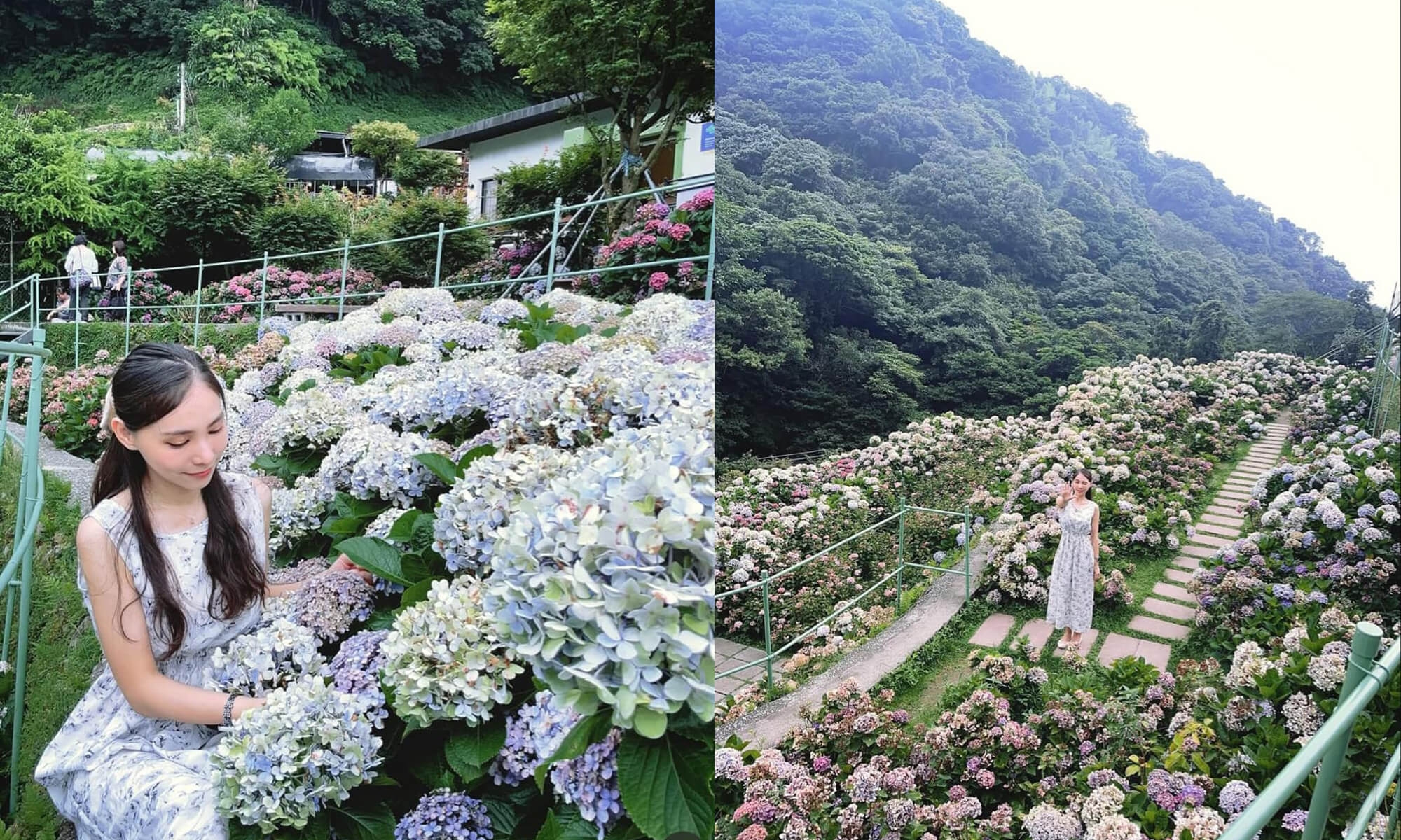 大梯田花卉生態農園