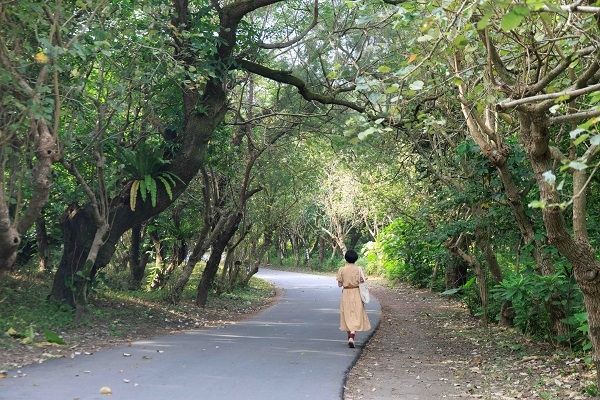 頭城濱海森林公園沿途路坦而平緩。盛夏時分蟬聲唧唧，時而漸強，時而漸弱，煞是悅耳。（圖片來源：葉琳喬攝） 