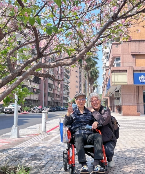 今年3月，父親外出已經需要乘坐輪椅，既然去郊外賞櫻不便，就趁外出辦事的路上仔細欣賞路旁的風景。（圖片來源：Denny） 