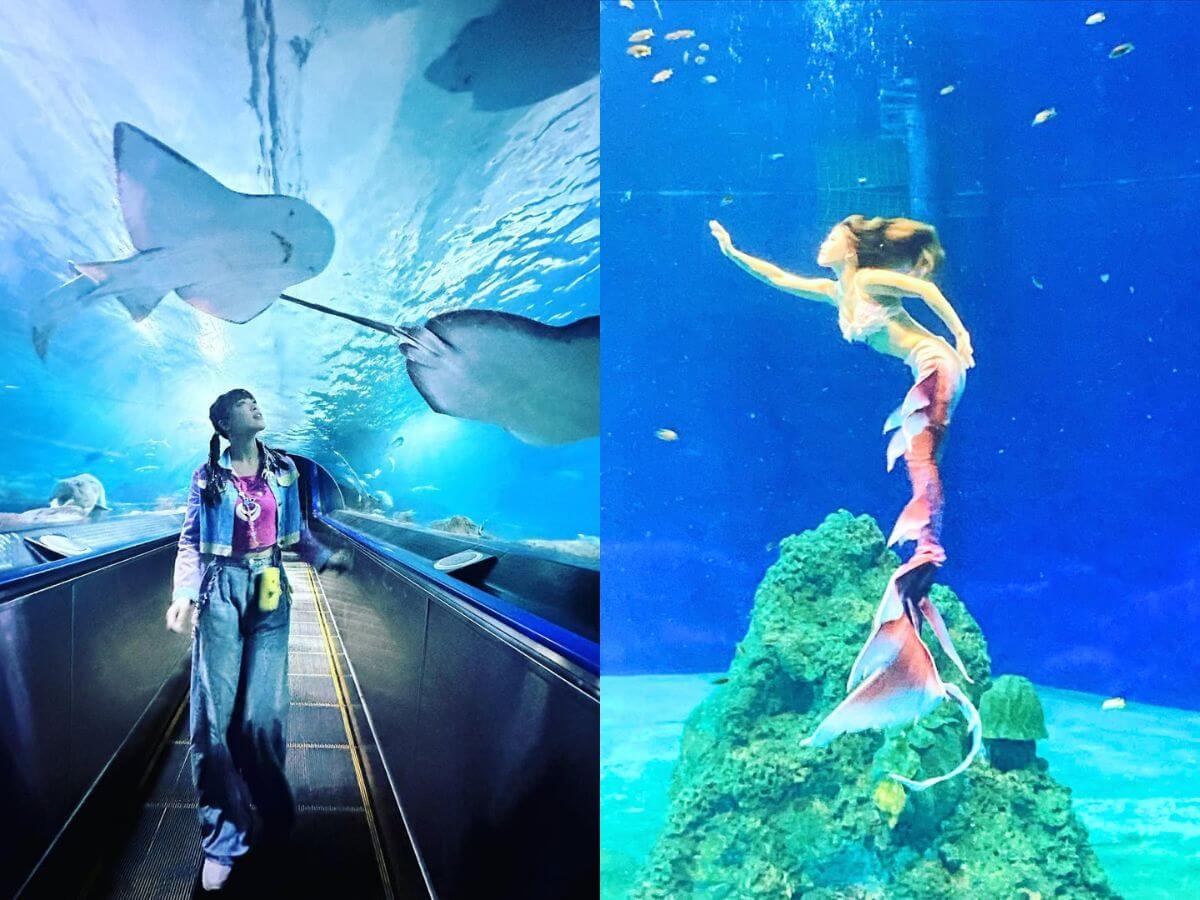 遠雄海洋公園