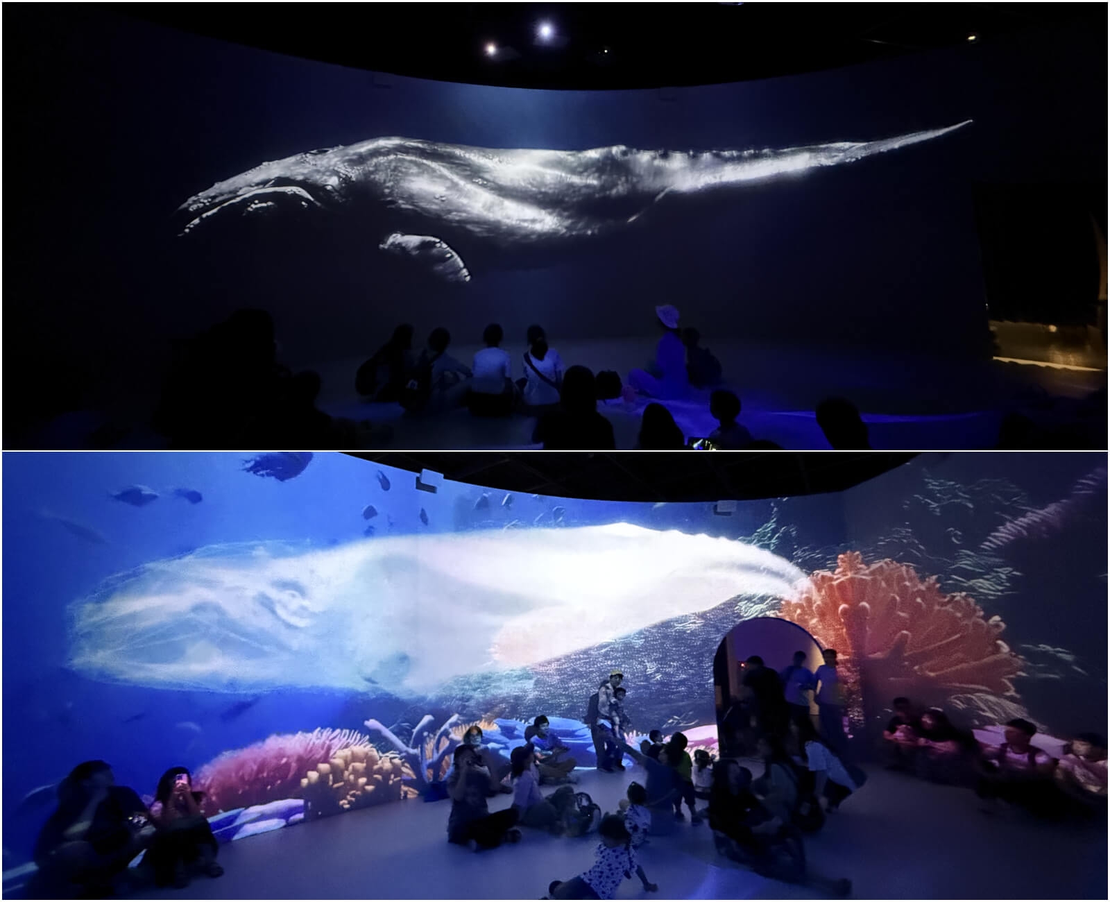 鯨掘特展