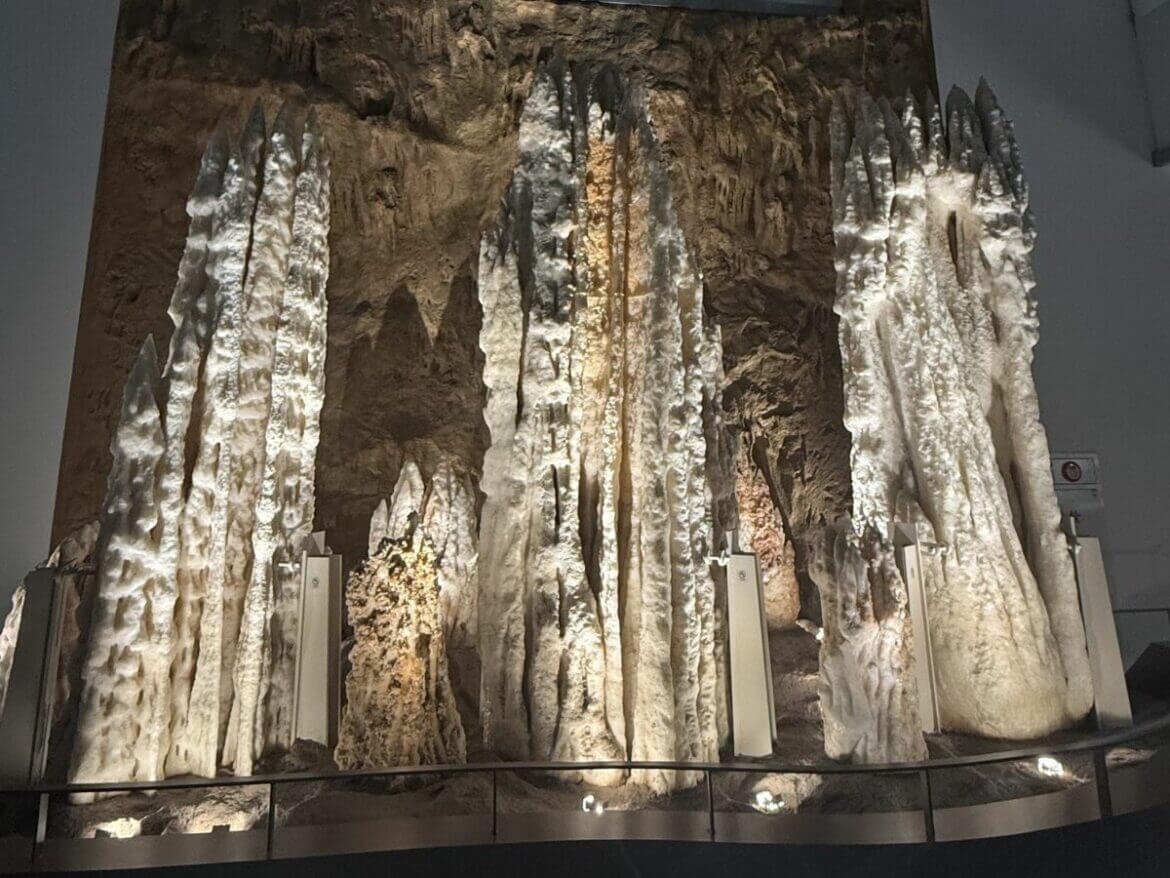 國立自然科學博物館 大地瑰寶展
