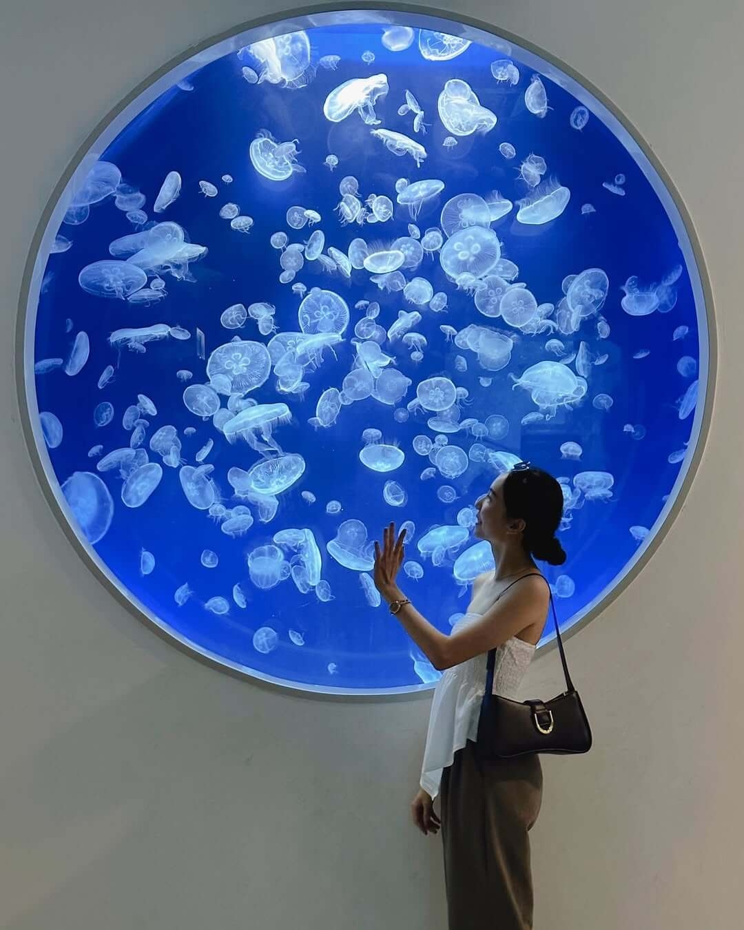 Xpark 八景島水族館