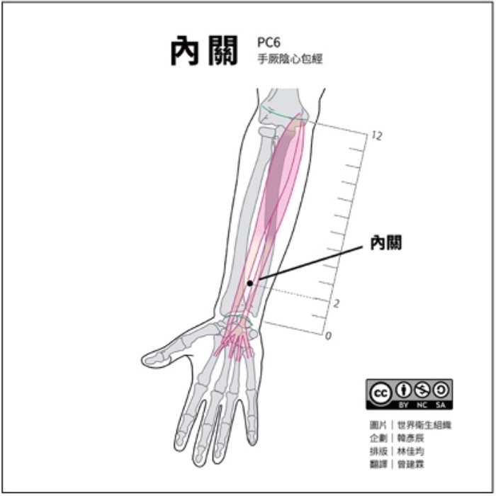 （圖片來源：大醫精誠免費正版針灸穴位圖庫）