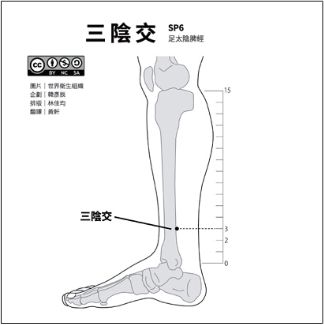 （圖片來源：大醫精誠免費正版針灸穴位圖庫）