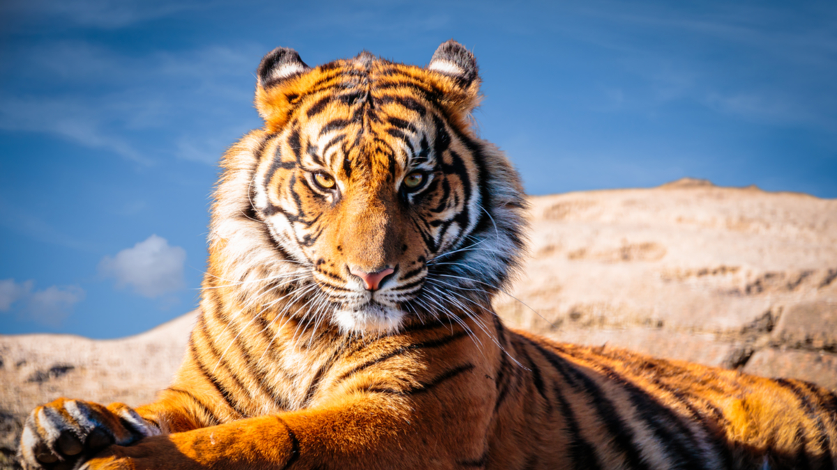 練就自己的領袖魅力