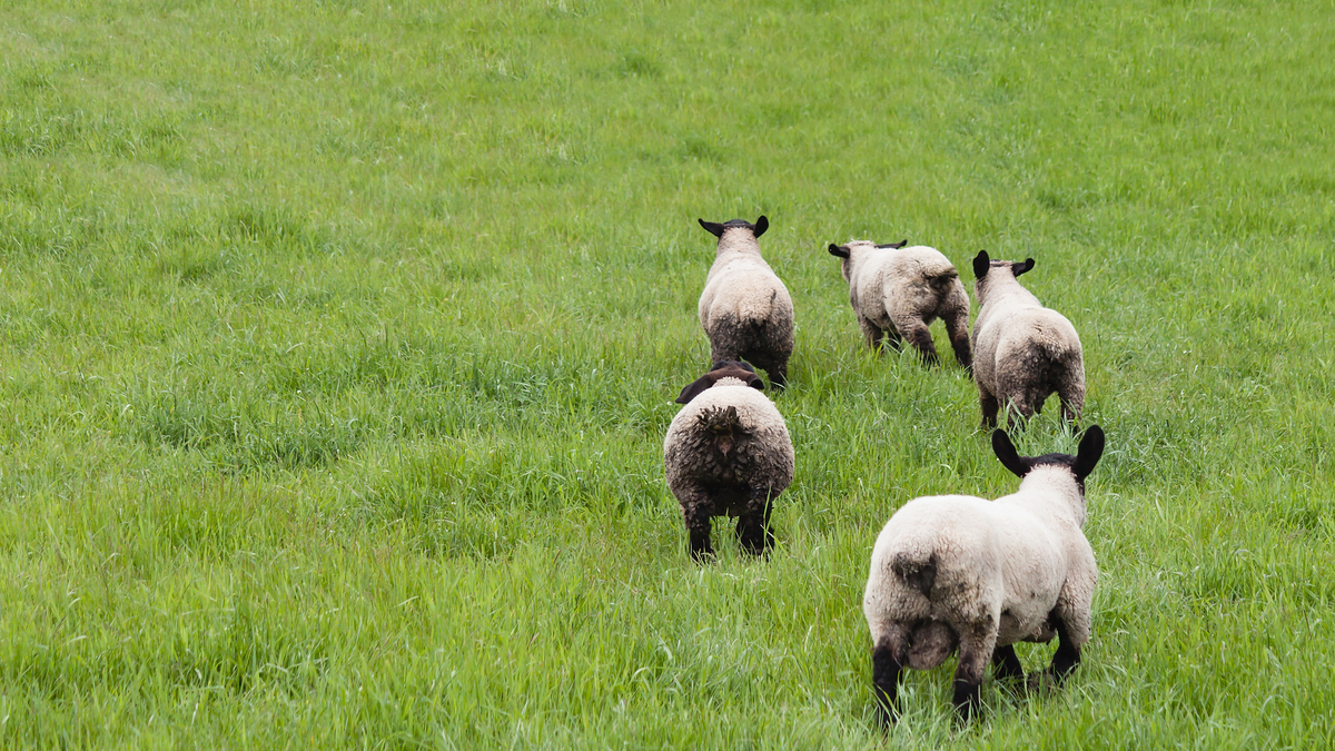 上司太過放任而不管事，該怎麼辦？